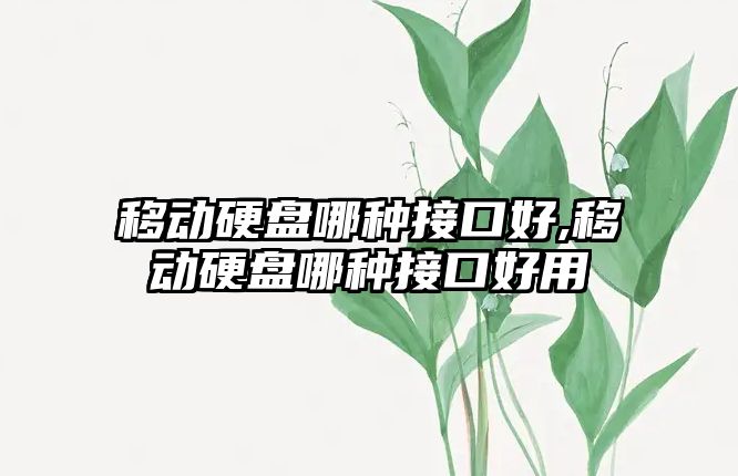 移動硬盤哪種接口好,移動硬盤哪種接口好用