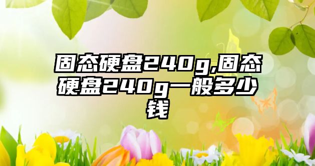 固態硬盤240g,固態硬盤240g一般多少錢