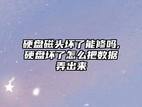 硬盤磁頭壞了能修嗎,硬盤壞了怎么把數據弄出來