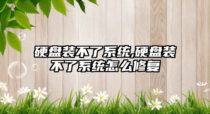 硬盤裝不了系統,硬盤裝不了系統怎么修復