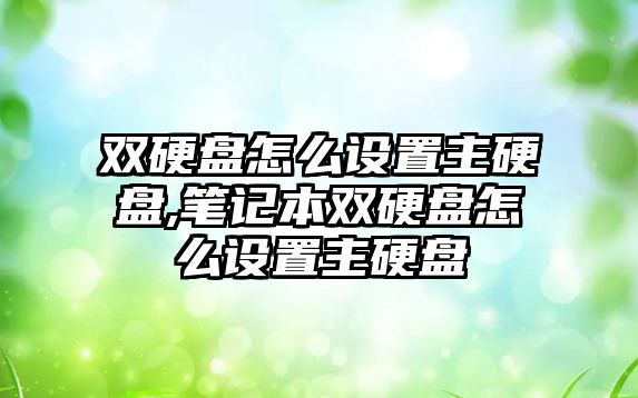 雙硬盤怎么設置主硬盤,筆記本雙硬盤怎么設置主硬盤