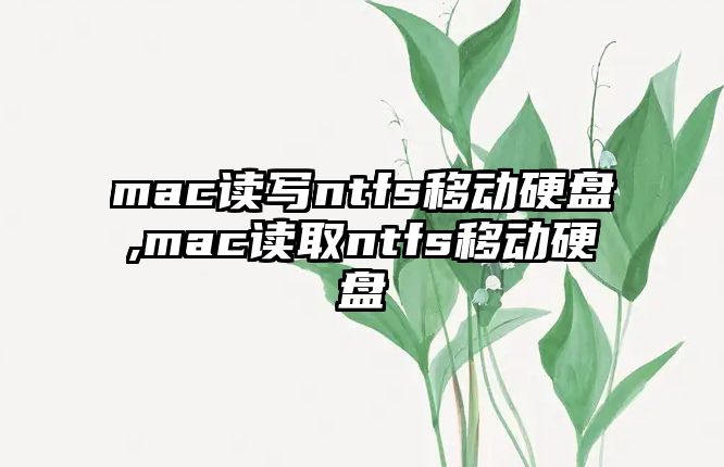 mac讀寫(xiě)ntfs移動(dòng)硬盤(pán),mac讀取ntfs移動(dòng)硬盤(pán)