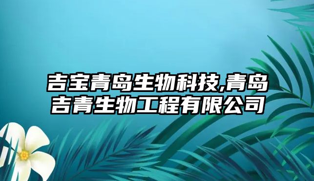 玉翠科技網