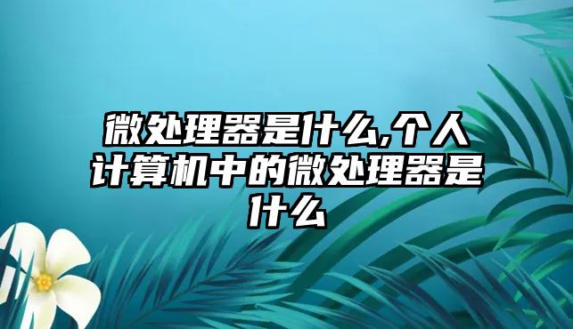 微處理器是什么,個(gè)人計(jì)算機(jī)中的微處理器是什么