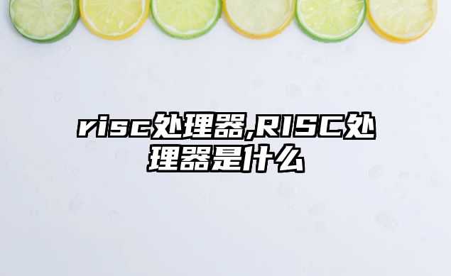 risc處理器,RISC處理器是什么